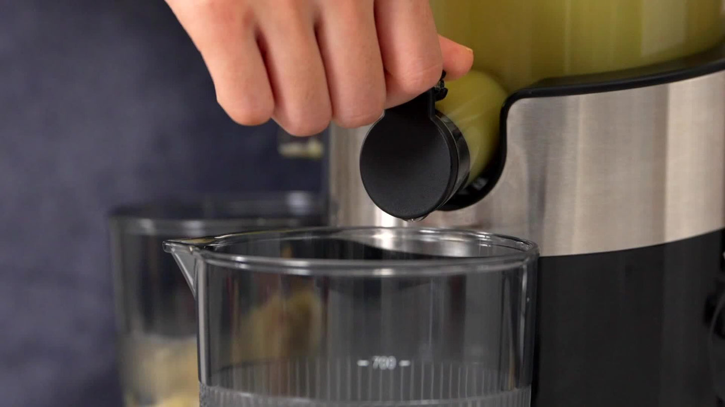 AEITTO Slow Masticating Juicer for Whole Fruits and Vegetables