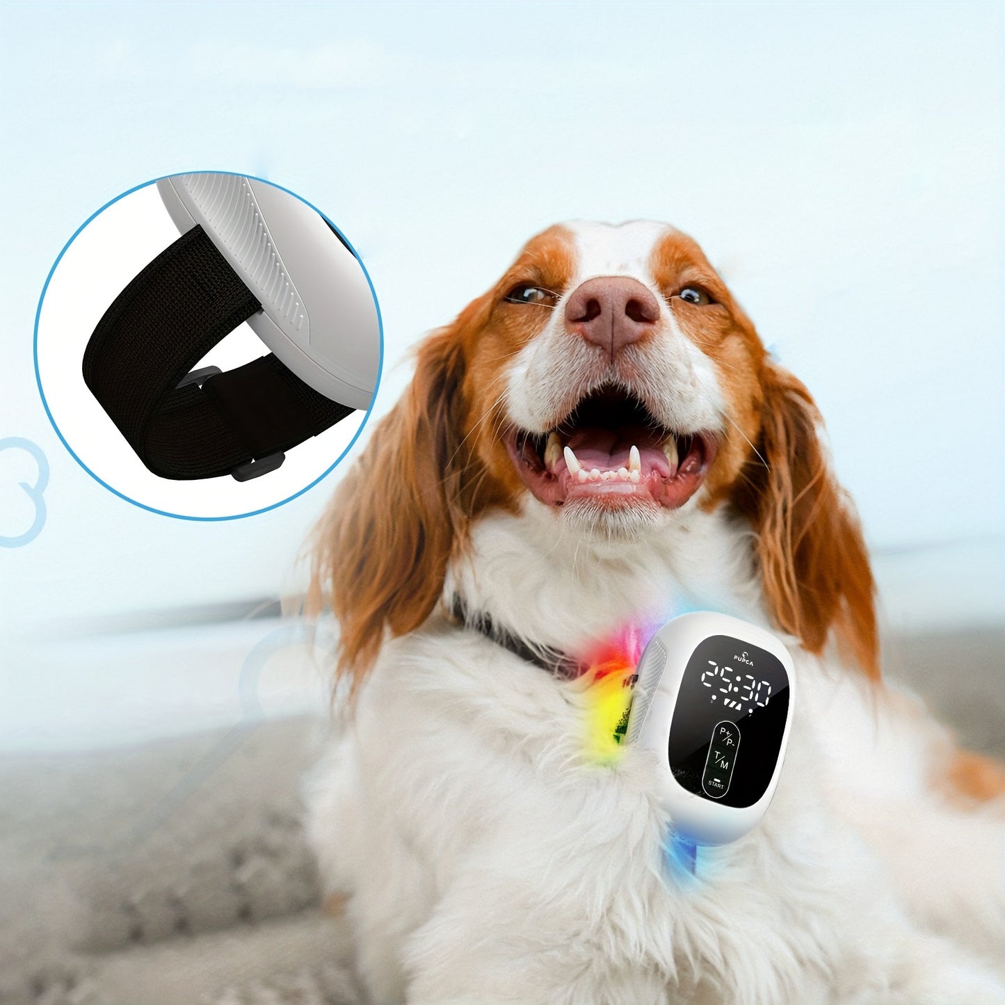 Portable Pet Joint and Muscle Care Device for Clear Skin