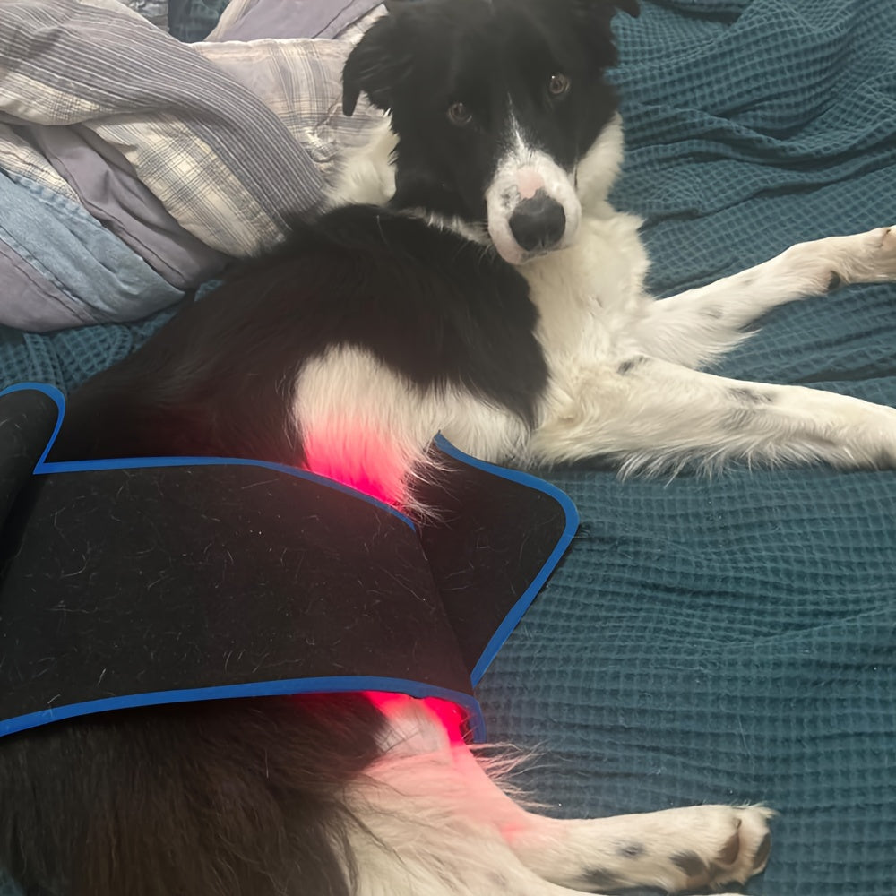 Red Infrared Light Therapy Belt for Home Use