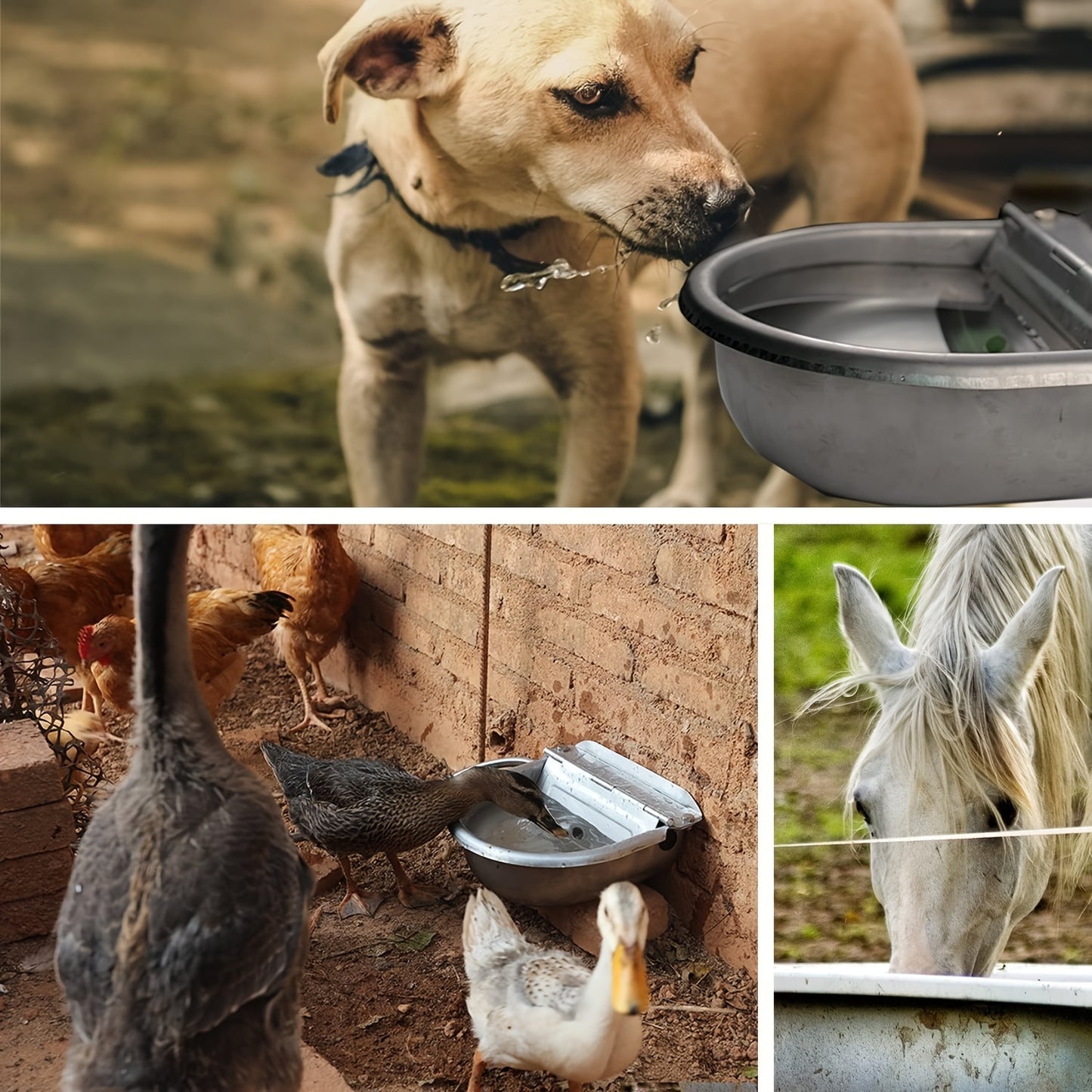 Automatic Self-Filling Stainless Steel Dog Water Bowl Dispenser