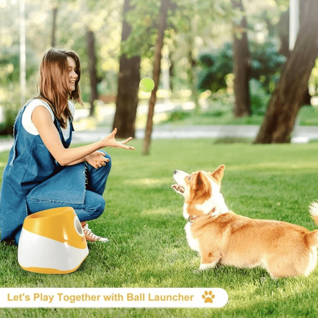 Automatic Dog Ball Launcher With Three Distance Settings