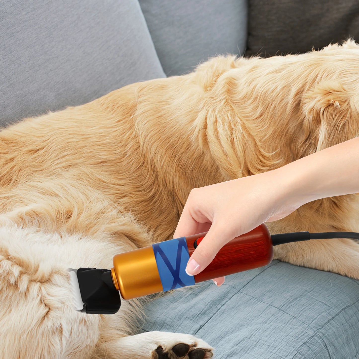 Low Noise Pet Hair Clipper Professional Electric Trimmer